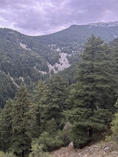 Vitosha and Rila Mountains