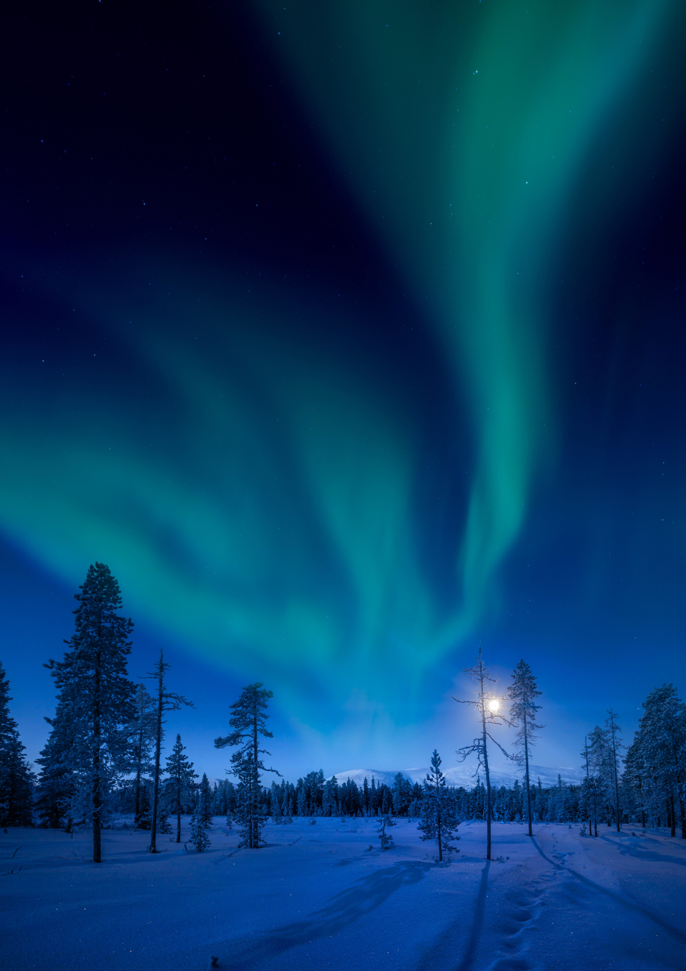 MARGISTAR_training_school_oulu (1)