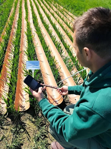 STSM field work at Aarhus University